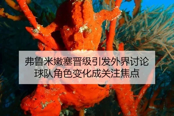 弗鲁米嫩塞晋级引发外界讨论 球队角色变化成关注焦点